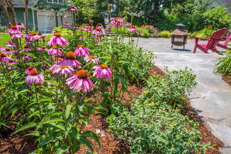 Patio, Commercial and Residential Maintenance, Planting Enhancements 