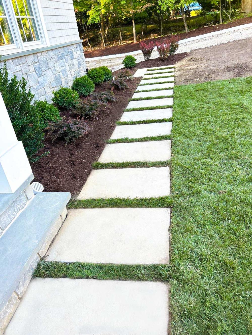 Landscape Build 3