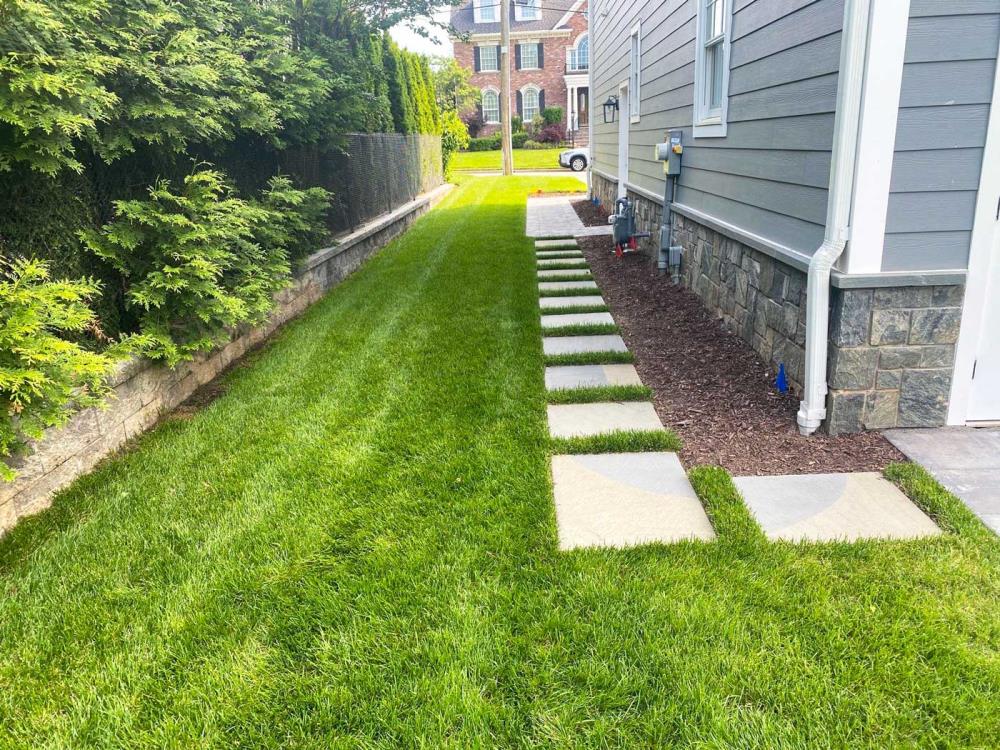 Landscape Build 4