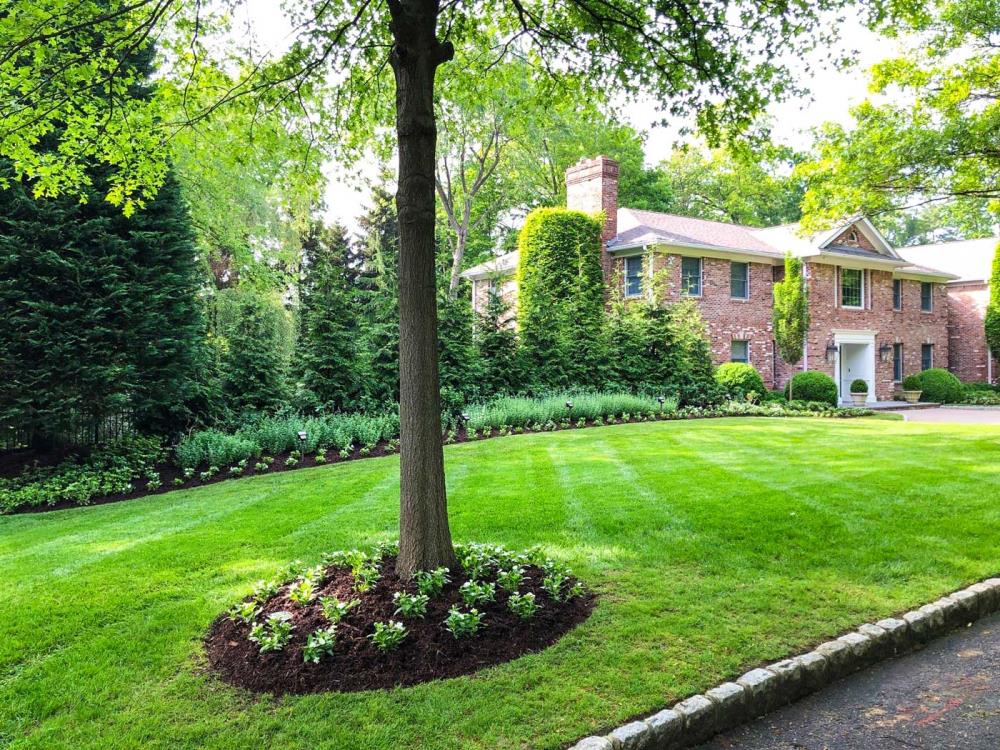 Commercial and Residential Maintenance