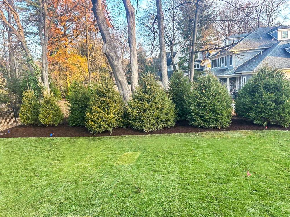 Landscape Design 1