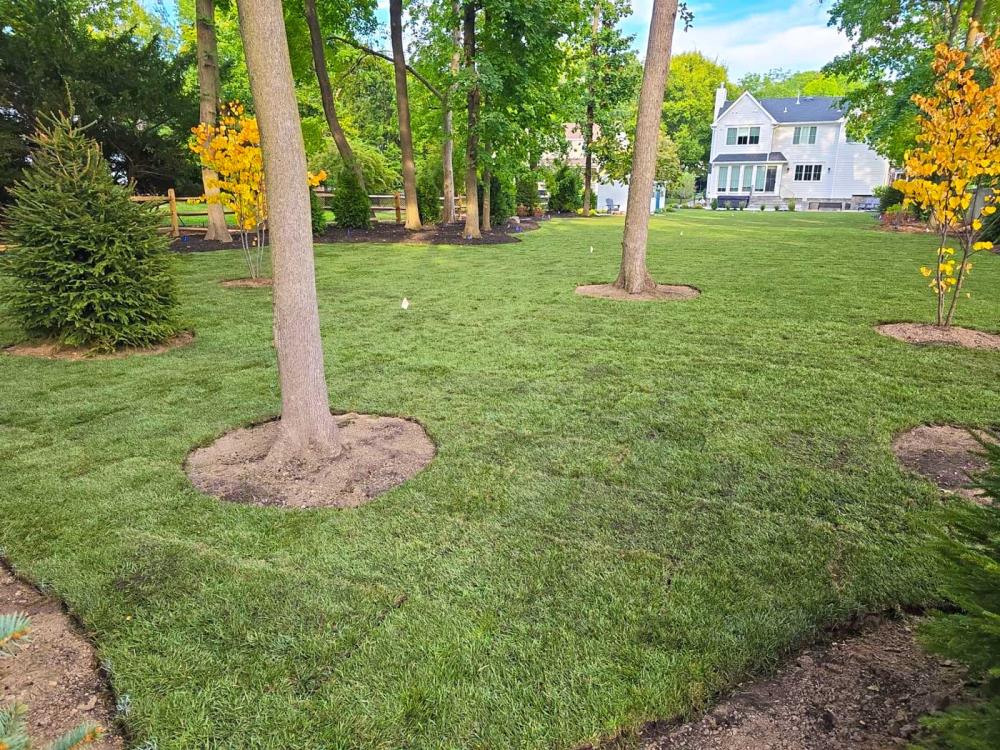 Landscape Design 4