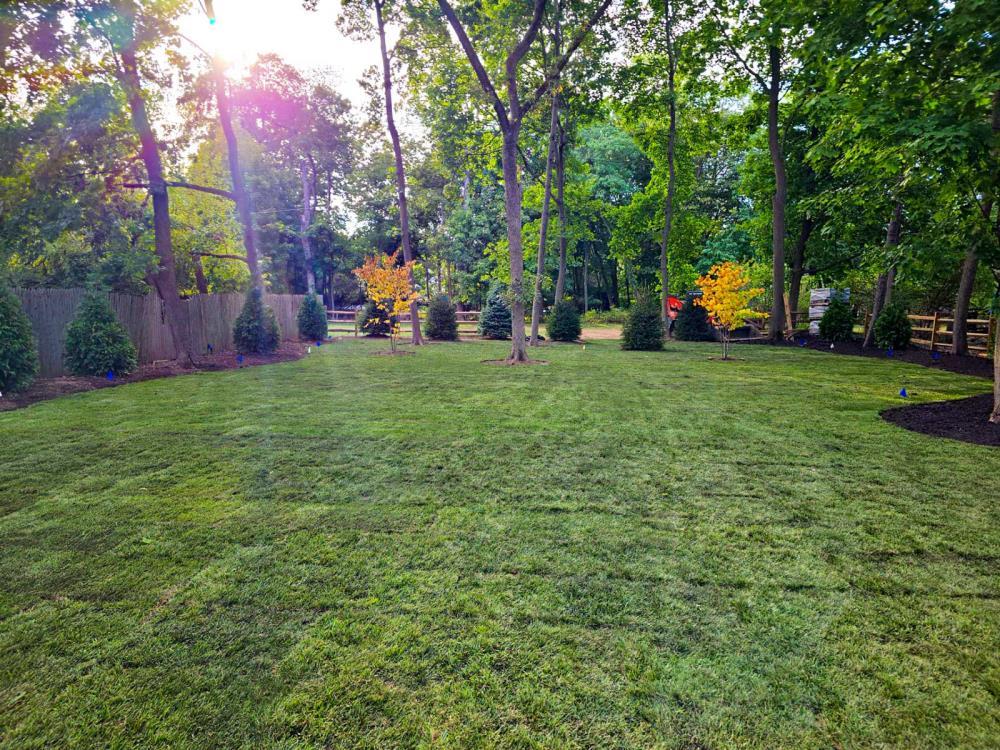 Landscape Design 5