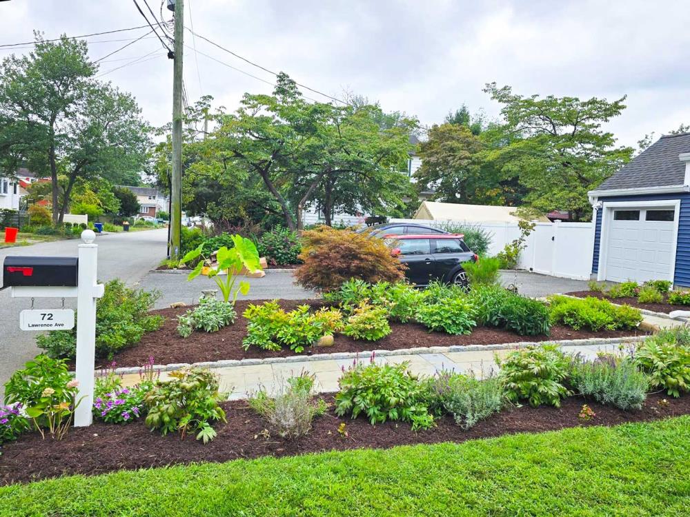 Landscape Maintenance 4