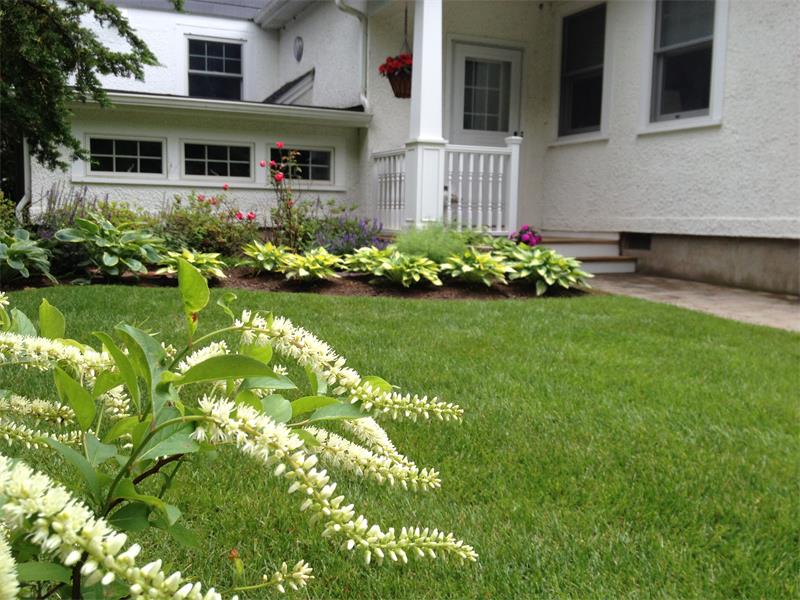 Planting Enhancements 