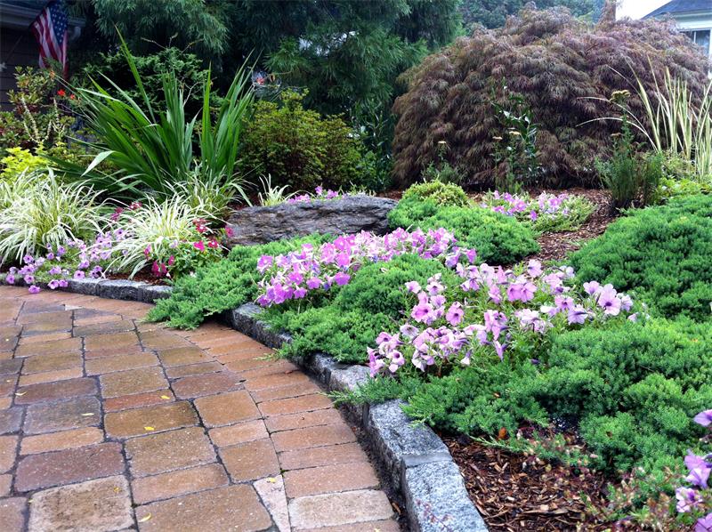 Retaining Wall, Steps, Walkway, Planting Enhancements 